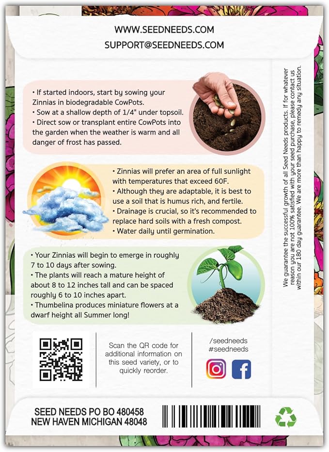Seed Needs Thumbelina Zinnia Seeds for Planting - Heirloom & Open Pollinated Annual Dwarf Cut Flowers - Grow a Butterfly Garden to Attract Pollinators (2 Packs)