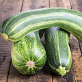 Italian Striped Zucchini Summer Squash Garden Seeds - 4 Oz - Non-GMO, Heirloom - Vegetable Gardening Seed