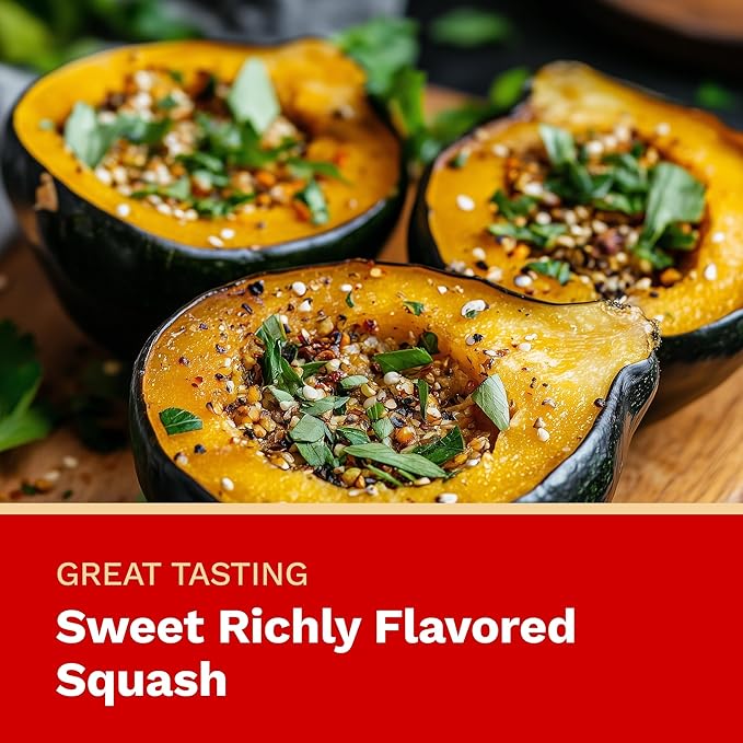 The Harvest Company Organic Seeds Collection – USDA Certified, Non-GMO, Open-Pollinated for Indoor & Outdoor Planting (Table Queen Acorn Squash)