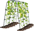 Garden Trellis for Climbing Plants Outdoor, Cucumber Trellis for Raised Bed Garden, Arch Trellis Support for Cucumbers Tomatoes Beans Peas, 50x48 inch, Metal Trellis with Netting, Black