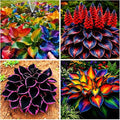 Mixed 117+ Hosta Seeds for Planting Under Trees & North Facing Areas, Shade Garden Solution - Drought Tolerant Perennial Ground Cover with Decorative Foliage