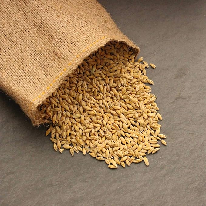 Organic Barley Seeds - 1 Lbs - Whole (Hull Intact) Barleygrass Seed - Ornamental Barley Grass, Juicing - Grain for Beer Making, Emergency Food Storage & More