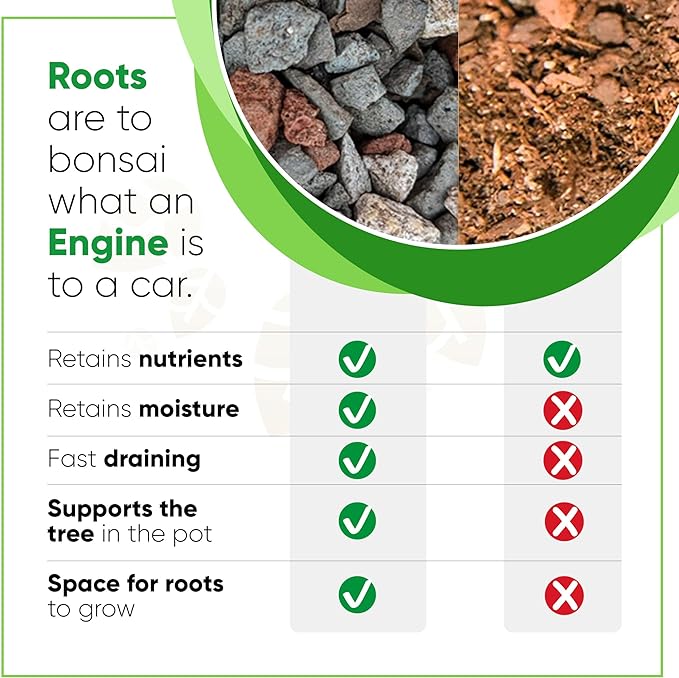 Tinyroots Bonsai Soil Mix - All Purpose Ready to Use Blend for All Varieties of Bonsai Trees, 4.5 Quarts