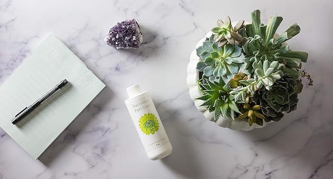 Succulent Fertilizer | Formulated Succulent Food for Potted Indoor Succulents and Cactus | Plant Food for Succulent Soil in Pots | by Aquatic Arts