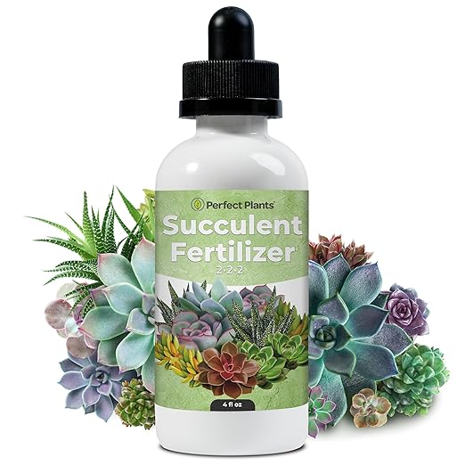 Succulent Fertilizer Drops by Perfect Plants | Best Liquid Plant Food for Succulents | Grow Bigger Cactus, Jade, and Christmas Cacti - Just Mix with Water (4 fl oz)