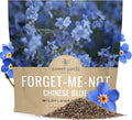 Chinese Forget Me Not Wildflower Seeds - Bulk 1 Ounce Packet - Over 5,500 Open Pollinated Seeds - Blue Cynoglossum amabile
