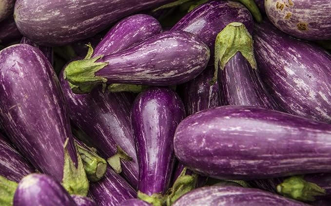 Seeds Eggplant Aubergine Long Mix Heirloom Vegetable for Planting Non GMO