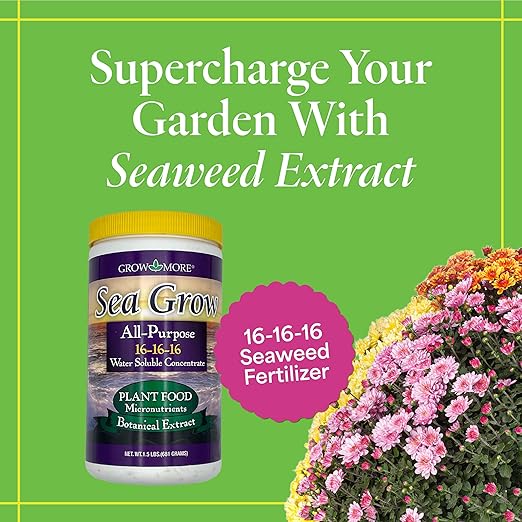 Grow More Sea Grow Kelp Fertilizer - 1.5lbs of 16-16-16 Water-Soluble, All-Purpose Plant Food - Nutrient-Rich, Seaweed Fertilizer - Outdoor & Indoor Plant Food