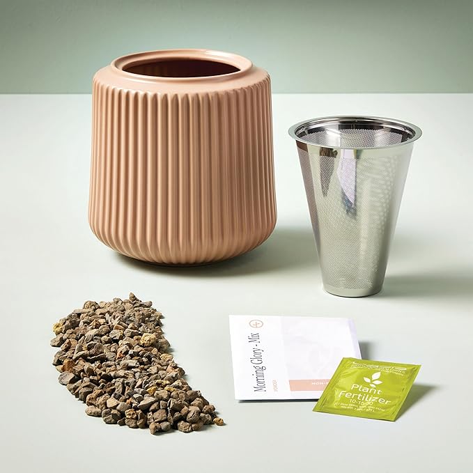 Modern Sprout Flower Grow Kit - Ceramic Planter with Indoor Hydroponics Growing System Kit Ideal for Living Room Decor - Unique Gardening Gifts - Morning Glory Self Watering Flower Planting Kit