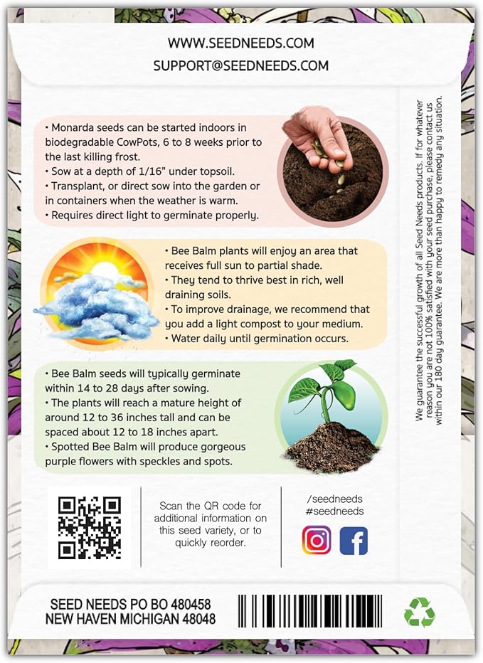 Seed Needs, Spotted Bee Balm Seeds - 300 Heirloom Seeds for Planting Monarda punctata - Medicinal Horsemint Herb, Open Pollinated, Attracts Pollinators (1 Pack)