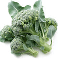 250 Broccoli Seeds for Planting ‘Di Cicco’ – Heirloom, Non-GMO, USA Grown – Sprouting Type Plentiful Side Shoots After Harvest – RDR Seeds