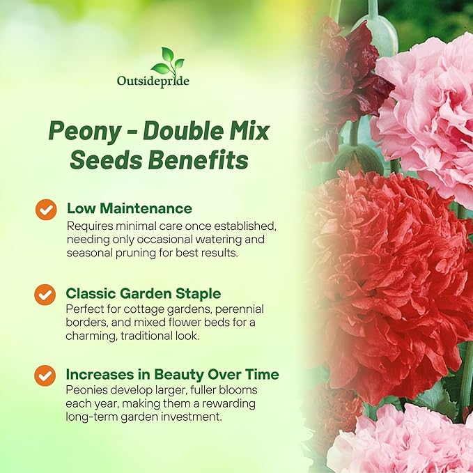 Outsidepride Peony Double Mix Poppy Seeds for Planting - 5,000 Pcs Annual, Drought-Tolerant & Easy to Grow Wildflower Seeds with Vibrant Mix Blooms for Landscaping, & Pollinator Garden