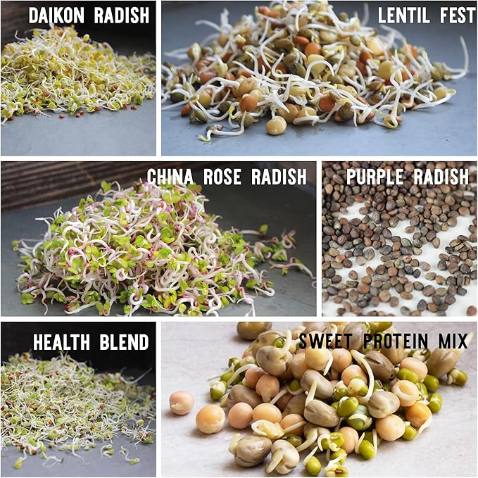 12 Variety Pack Organic Sprouting Seeds - Fully Raw Kristina's Sprouts Growing Kit with Sprouting Lid & Book - Alfalfa Seeds, Mung Bean, Radish, Clover Seed, Salad Mix, Pea, Health Blend, & More