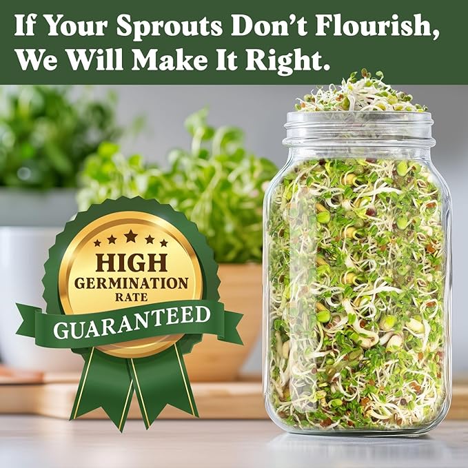 Seedboy Organic Non-GMO Fresh Salad Blend Sprouting Seeds & Kit – Includes Jar, Lid & Stand – USA Grown Microgreens Mix – 8 oz Bag Makes 24 Servings (Sprouting Jar/Salad Blend)