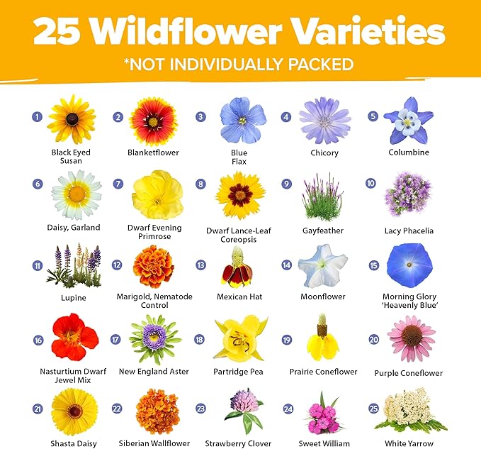 HOME GROWN Wildflower Seeds - 44,000 Non GMO USA Perennial Seeds (2oz) 19 Varieties for Butterfly & Pollinator Garden - Wild Flower Seed Mix for Full Sun & Shade