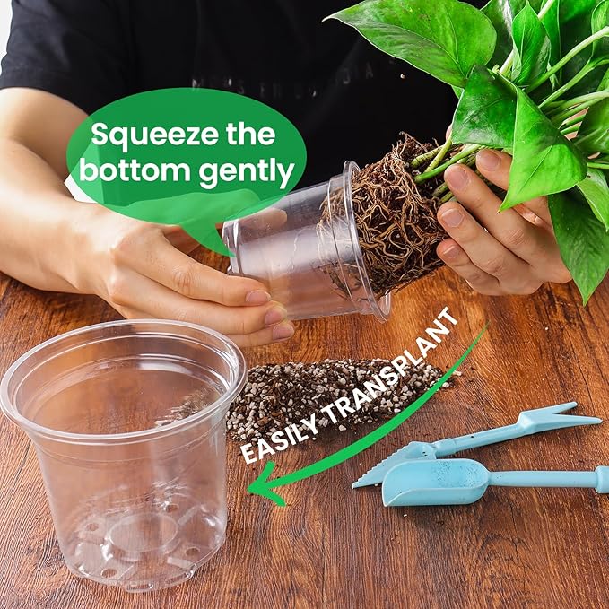 36 Packs 6.7/5/4/3.5 Inch Reinforced Clear Nursery Pots with Drainage Hole, Transparent Variety Pack Plastic Plant Pot Seedling Planter for Vegetable Propagation, Root Cutting, Seed Starting