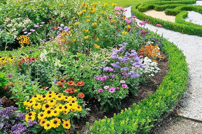 10000+ Perennial Mix Wildflower Seeds 16 Assorted of Heirloom Flower -1oz Zinnia Poppy Crimson Clover Milkweed Lupine Marigold Mexican Hat Sage Nasturtium