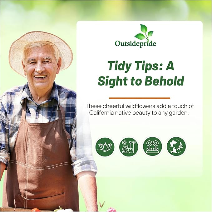 Outsidepride Tidy Tips Seeds - 5000 Pcs Annual Dazzling Golden-Yellow & White Blooms, Drought Tolerant, Self-Seeding, Ideal for Rock Gardens, Flower Boxes, Borders, Xeriscape & Low-Water Landscapes