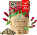 BuildASoil No-Till Clover Seed Cover Crop Blend 12 Species Cover Crop Seed Mix Premium Clover Seeds for Lawn - Plants Friendly Cover Crop for Garden - 60% Clover (1 lb Bag)