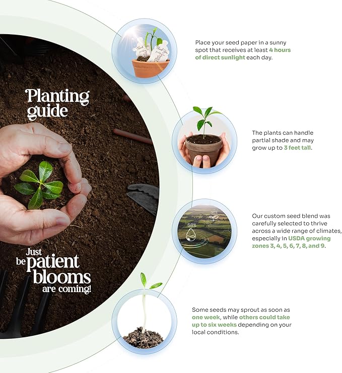 Wildflower Seed Paper - Set of 24 Hummingbird-Shaped for Funeral Favors, Memorial Gifts, & Sympathy Gifts for Loss of Father and Mother (Pink & Yellow)