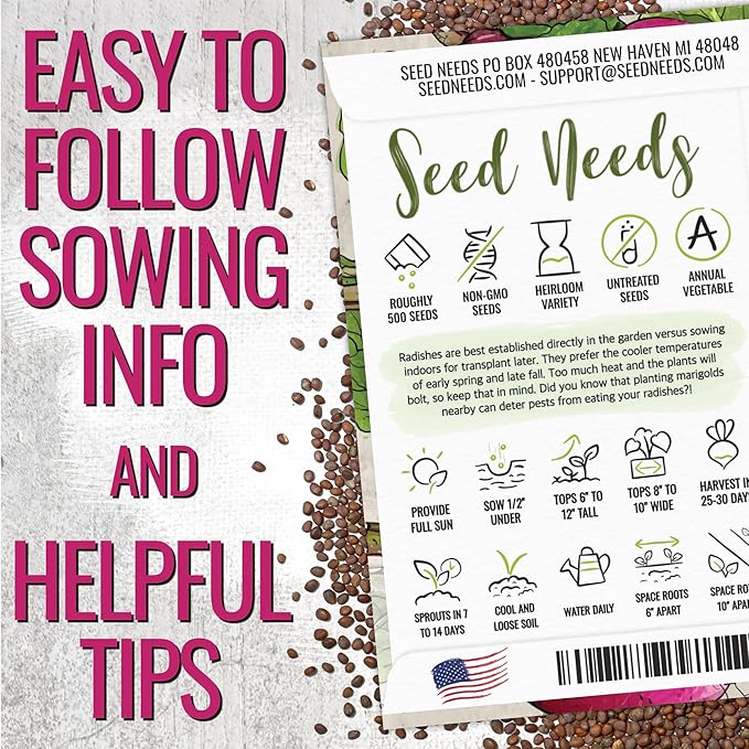 Seed Needs Radish Seeds for Planting Purple Plum Radishes - Non-GMO Heirloom & Untreated - Grow a Home Grown Vegetable Garden - Cool Weather Crops (2 Packs)