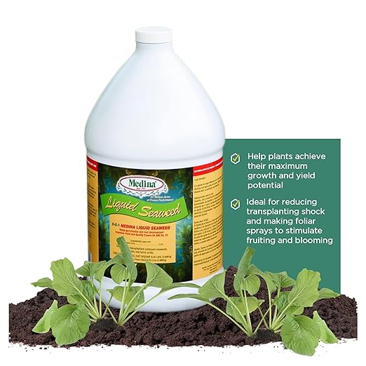 Medina Liquid Seaweed Fertilizer for Plants - Concentrated Seaweed Fertilizer for Lawn and Garden - Enhances Plant Growth and Soil Health - Ready to Spray - 1 Gallon Covers 64000 Sq. Ft.