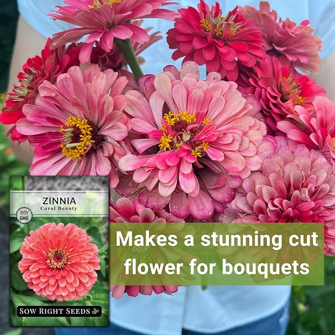 Sow Right Seeds - Zinnia Coral Flower Seeds for Planting - Beautiful Flowers to Plant in Your Garden - Non-GMO Heirloom Seeds - Vibrant Colored Variety - Attract Pollinators - Giant Cut Flower (4)