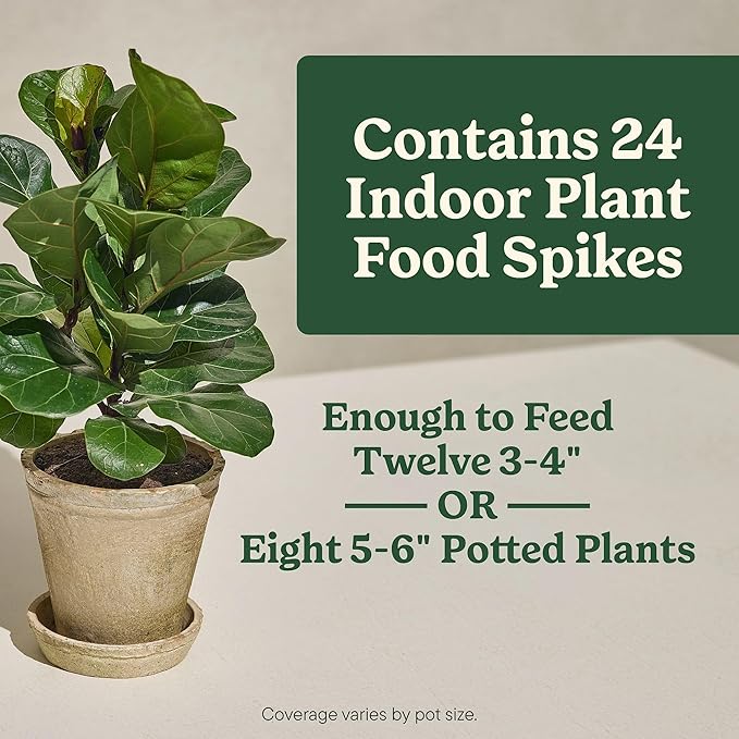 Miracle-Gro Indoor Plant Food Spikes for All Plants, Fertilizer Spikes for Houseplants, Flowers, Vegetables, and Herbs, 24 Spikes