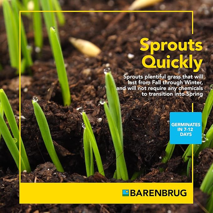 Barenbrug Wonderlawn Winter Grass Seed Mix for Lawn Care and Landscaping, 10 lbs. Bag