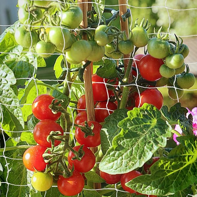 Trellis Netting, PDGROW Heavy Duty Garden Trellis Netting, 6 x 30 ft Trellis Netting for Climbing Plants, Outdoor Indoor Grow Net for Support Vine Vegetable Fruits and Flower, 4 Pack（Put in One Pack）