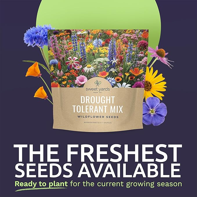 Drought Tolerant Wildflowers Mix – Extra Large Packet – Over 7,500 Open Pollinated Non-GMO Seeds – 21 Different Dryland Species