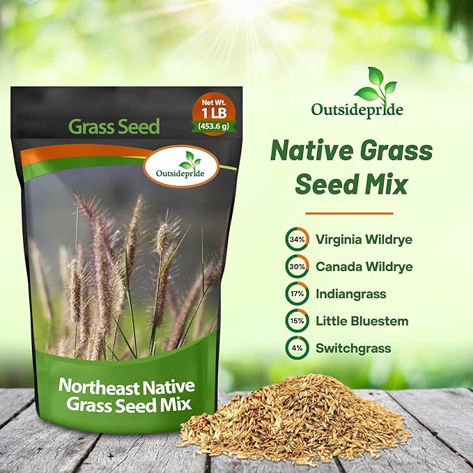 Outsidepride Perennial Northeast Native Grass Seed Mix - 1 lb. Cold & Drought-Tolerant Warm & Cool Season Prairie Grass Seeds for Xeriscaping, Erosion Control, Wildlife Support, & Pollinator Habitats