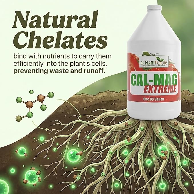GS Plant Foods Cal-Mag Extreme Liquid 1 Gallon Fertilizer with Calcium, Magnesium, Iron and Sulfur Supplement, Corrects Secondary Nutrient & Trace Element Deficiencies, N-P-K of 2-0-0