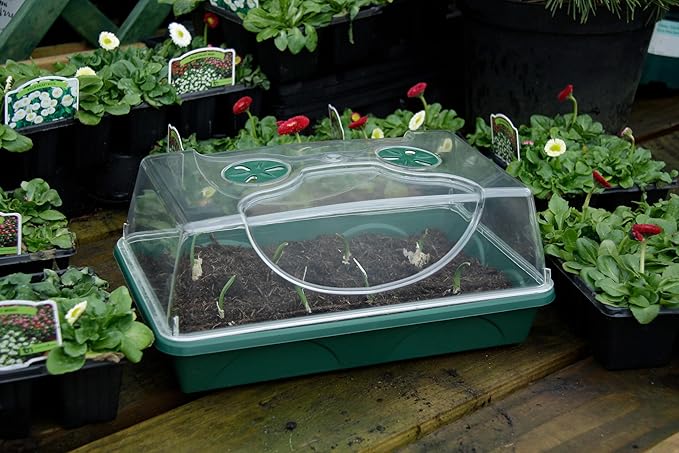 EarlyGrow Medium Seed and Herb Domed Propagator with Vented Side Height Extension and Security Clip Set,Green