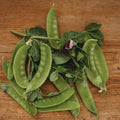 Green Beauty Snow Pea - 50 Seeds - Heirloom & Open-Pollinated Variety, Non-GMO Vegetable Seeds for Planting in The Home Garden, Thresh Seed Company