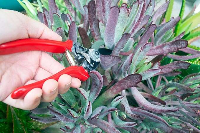 Corona Tools Yard Essentials Pocket Pruner