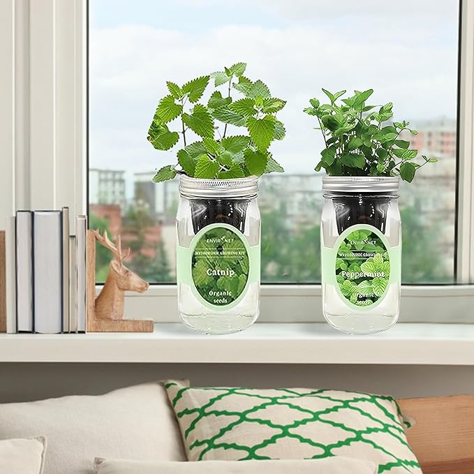 2-Pack Hydroponic Mason Jar Herb Garden Kit, Indoor Herb Garden Self-Watering Starter Kit, New Christmas Gift for Mom (Catnip,Peppermint)