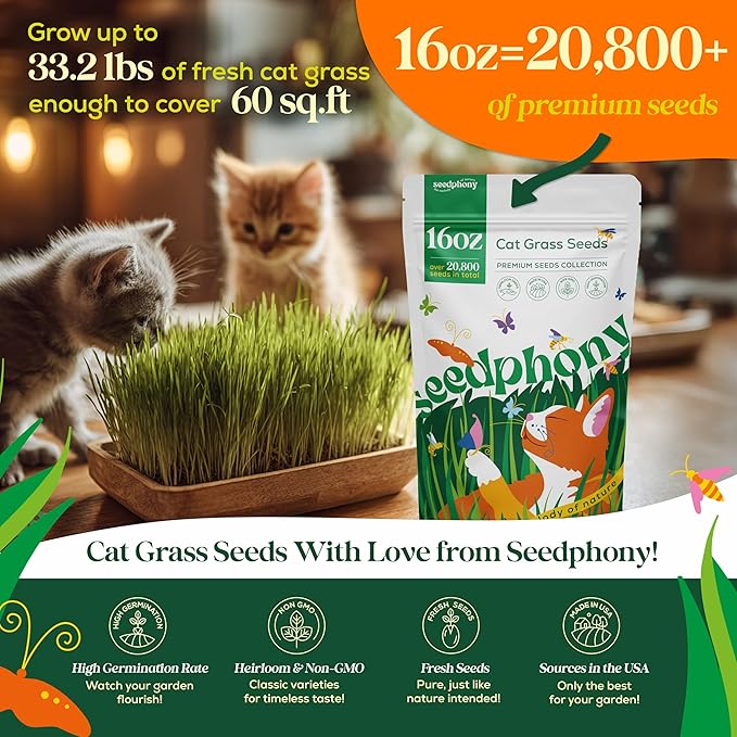 Seedphony Cat Grass Seed Mix – 16 oz Pack with 20,500 Non-GMO Heirloom Seeds for Cats, Barley, Oat, Rye & Wheatgrass for Indoor Growing, Fresh Pet Grass for Digestion & Hairball Control