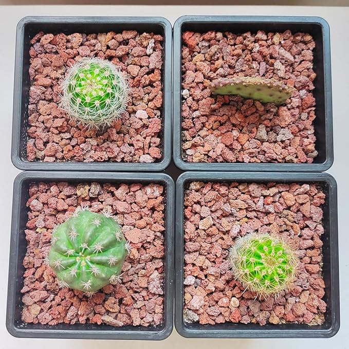 Red Horticultural Lava Rocks for Plants, 5lb Succulents Cactus Bonsai Soil Volcanic Rocks for Aquarium Outdoor Decorative Stones for Craft Projects, Vase Fillers