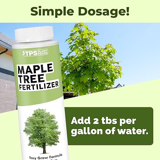 Maple Tree Fertilizer – Liquid Plant Food for Vibrant Color, Stronger Roots & Healthy Growth, 8 oz