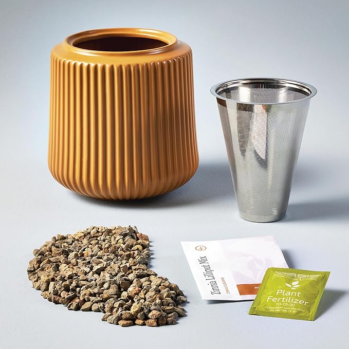 Modern Sprout Flower Grow Kit - Ceramic Planter with Indoor Hydroponics Growing System Kit Ideal for Living Room Decor - Unique Gardening Gifts - Zinnia Dahlia Self Watering Flower Planting Kit