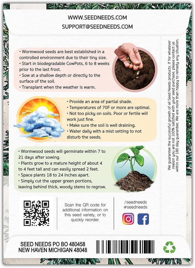 Seed Needs Wormwood Seeds for Planting - Non-GMO, Heirloom & Untreated Perennial Herb - Medicinal Herbs for Digestion & Gut Health (1 Pack)