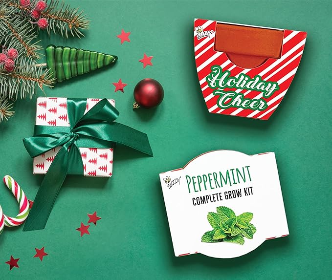 BUZZY Seeds Holiday Candy Cane Mini Terracotta Grow Pots, 6-Pack Peppermint Seeds, Indoor Plant Starter Kit, Stocking Stuffers, Party Favors