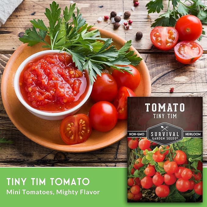 Tiny Tim Tomato Seeds - Dwarf Cherry Tomatoes for Planting Indoors or Patio, Compact Heirloom Variety for Containers, High Yield, Non-GMO - Survival Garden Seeds (2 Packs)