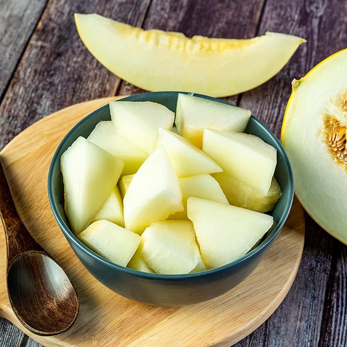 Back to The Roots 100% Organic Heirloom Seeds - Honeydew Melon Value Pack (1.6g Total)