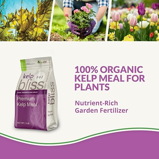 Kelp Meal Organic Fertilizer (2lbs) - Kelp Fertilizer for Plants, Garden Soil, Flowers, Vegetables, & Lawns - Organic Plant Food Rich in Vitamins & Nutrients - 100% Natural Renewable Soil Amendment