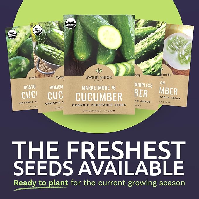 Organic Cucumber Seeds Variety Pack - 5 Individual Packs - 2026 Season - Marketmore 76, Sweet Burpless, Boston Pickling and More! for Indoor & Outdoor Planting (Non-GMO, Certified Organic)