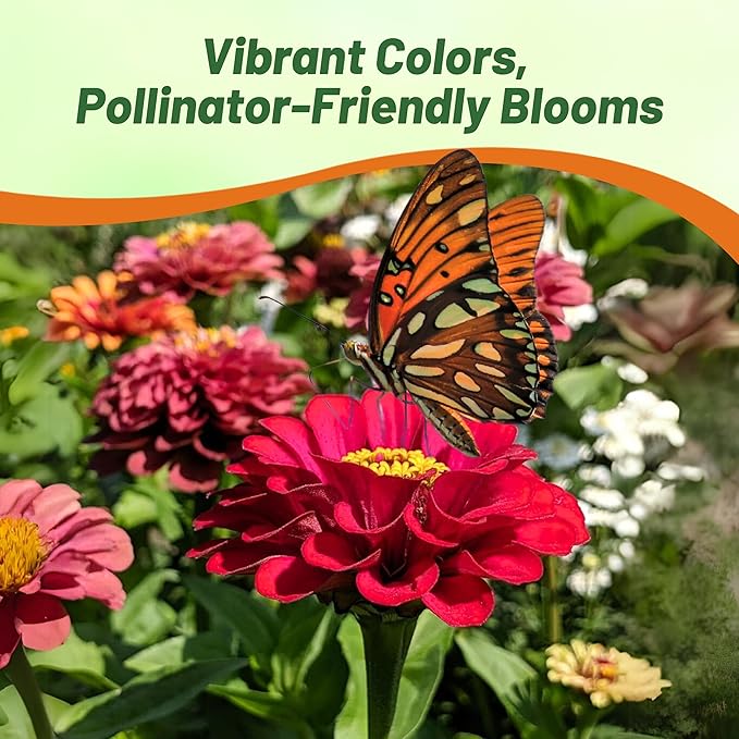 Outsidepride Dahlia Red Meteor Zinnia Seeds - 1000 Pieces Annual, Heat & Drought Tolerant Flower Seeds for Planting w/Vibrant Blooms for Pollinator Gardens & Floral Arrangements