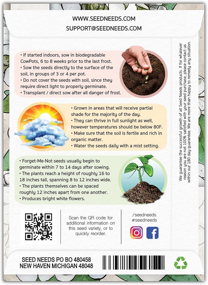 Seed Needs Forget Me Not Seeds for Planting White Myosotis Flowers - Heirloom & Open Pollinated Wildflowers to Plant an Outdoor Butterfly Garden to Attract Pollinators (1 Pack)