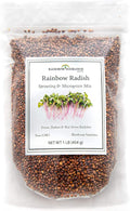 Rainbow Radish Sprouting Seed Mix | Heirloom Non-GMO Seeds for Sprouting & Microgreens | Contains Red Arrow, Purple Triton & White Daikon Radish Seeds 1 lb Resealable Bag | Rainbow Heirloom Seed Co.